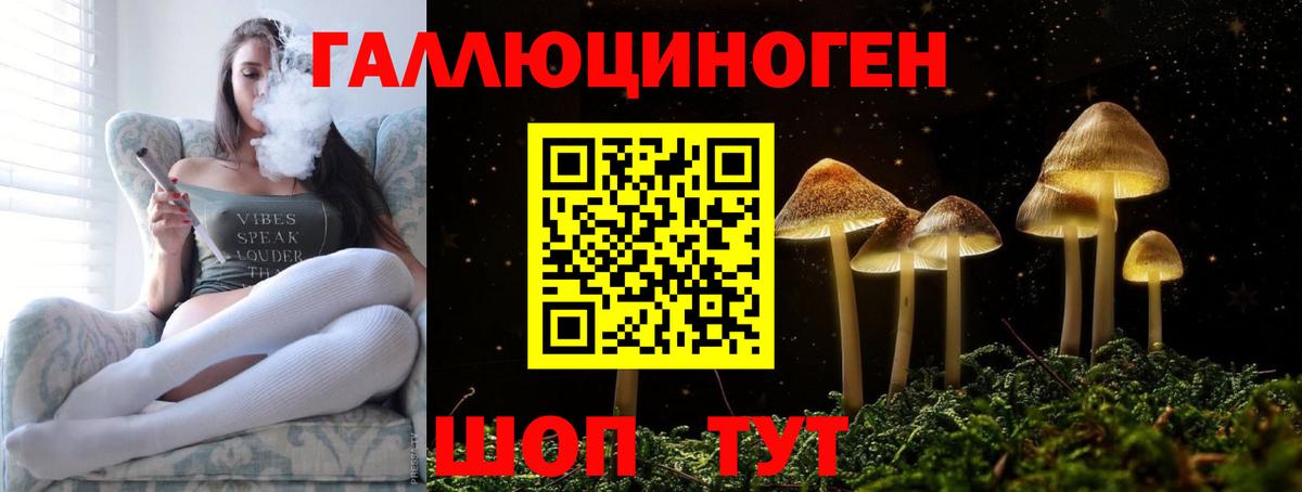 Галлюциногенные грибы прущие грибы Черкесск