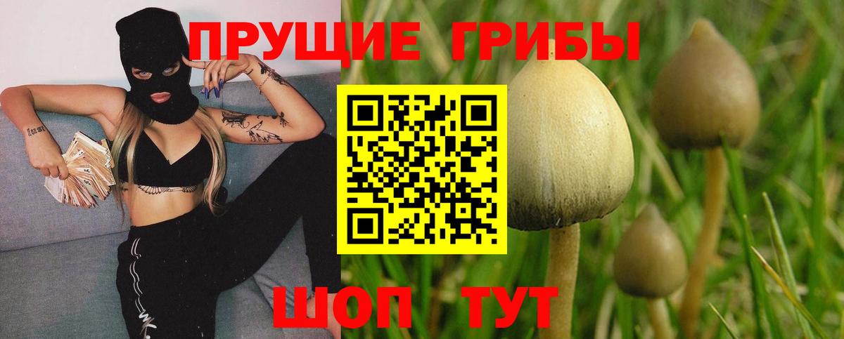 Псилоцибиновые грибы прущие грибы  Вход с VPN  Черкесск 